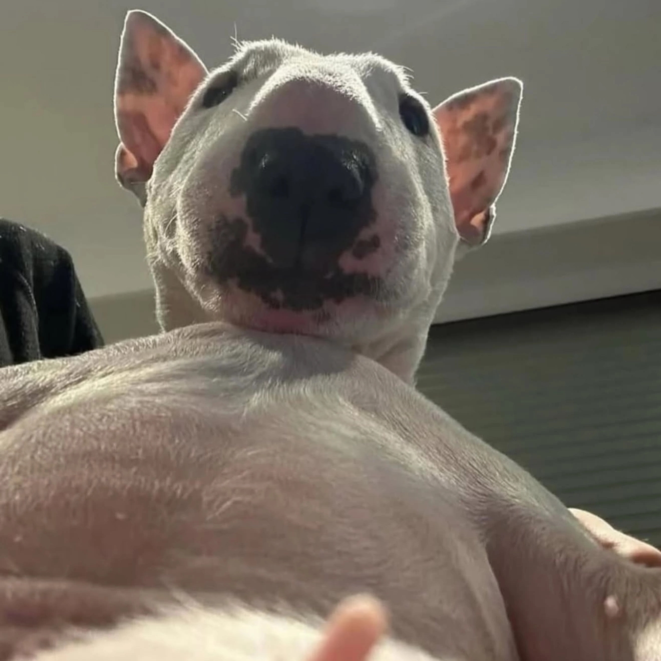 overhitcry@gmail.com