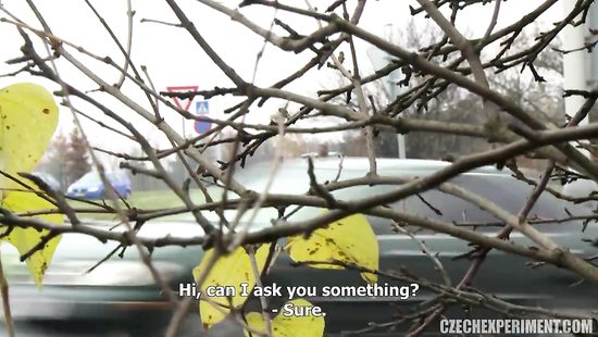 Hottie fucked in the woods by a stranger