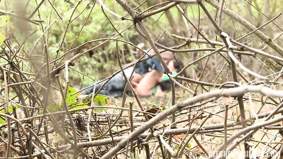 Hottie fucked in the woods by a stranger