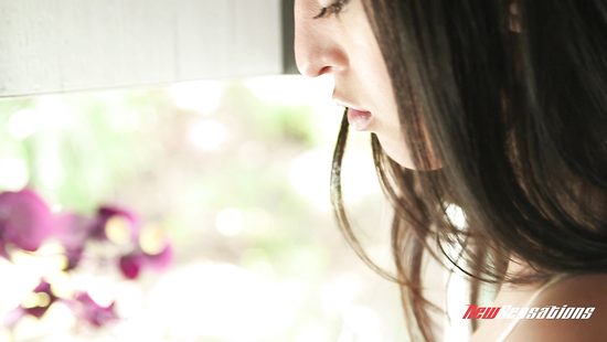 Intense fucking makes brunette scream