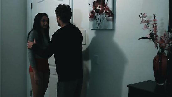 Brunette's hairy pussy is drilled