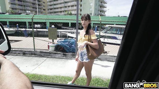 Foxy brunette fucks in car