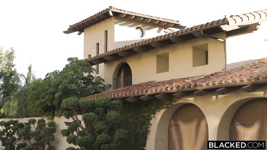 Black cock drills white beauty