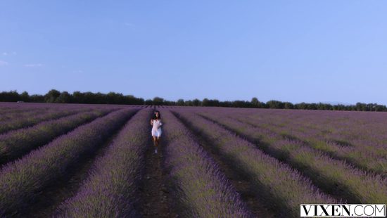 Outdoor sex scene with brunette