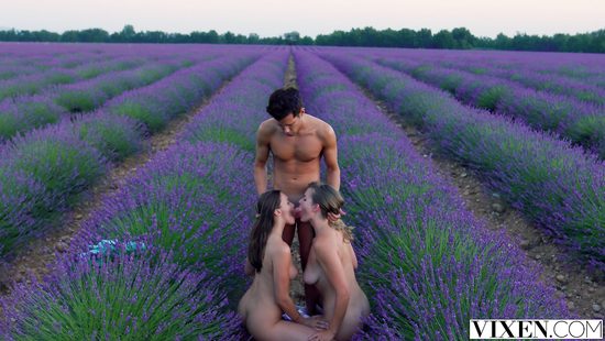 Whores taking pride on his hard pecker