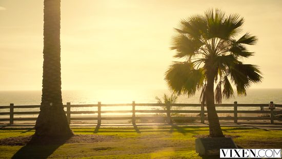 Palpitating couple smashing on a beautiful sunset