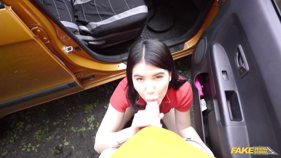 First driving lesson gone naughty