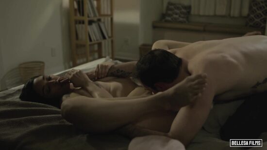 Romantic sex in the evening