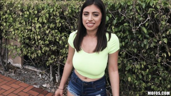 Endowed guy indulging in whore's bushy tunnel