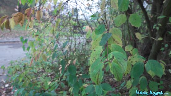 What's the price of a pretty mouth these days!