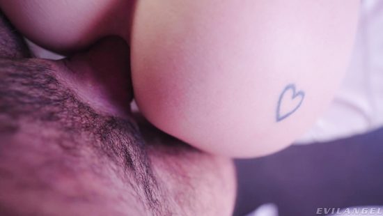 The affectionate kitty is back