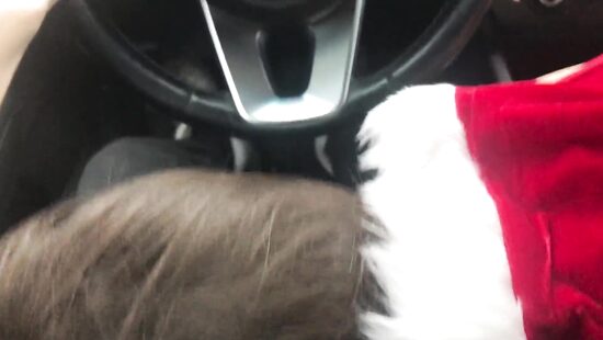 Dangerous New Year's present while driving