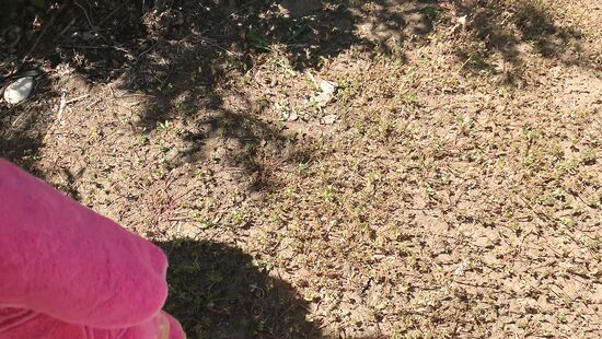 After bush anal, swimming in the lake will be more pleasant