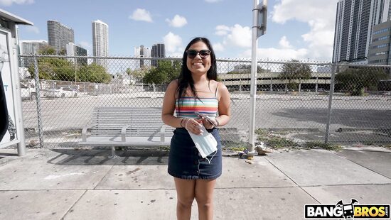 The bus will take you anywhere