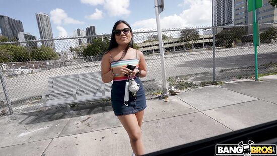 The bus will take you anywhere