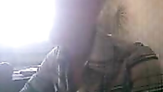 Моя сосалочка