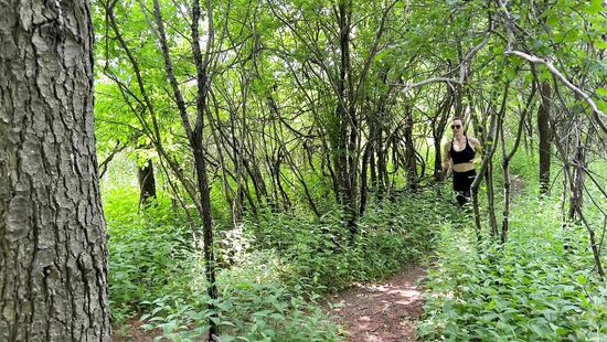 Get lost between the dicks