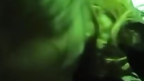 Подруга сочно отсосала в клубе.