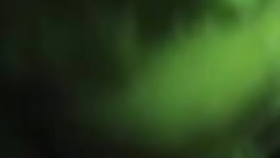 Подруга сочно отсосала в клубе.