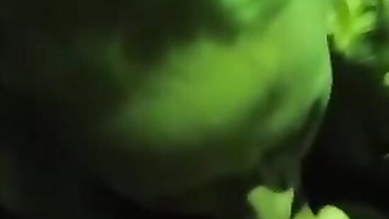 Подруга сочно отсосала в клубе.