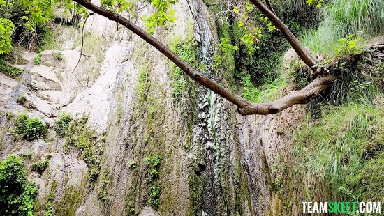 Why do group ventures pull so much into their nets