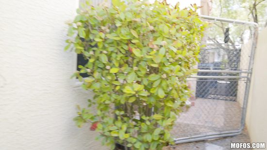 Cute brunette fucks in the kitchen