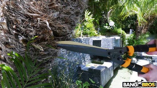 Appealing chick tries anal DP on cam