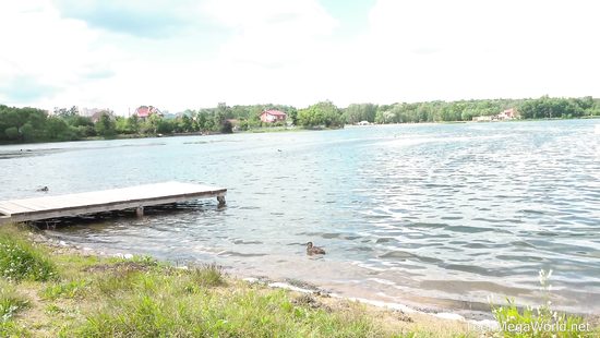 Teen petite rides boyfriend like a pro