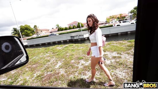 A trip through sunny Tampa