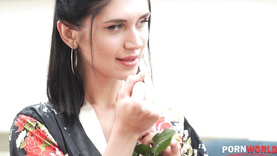 A geisha has no goal, only a path