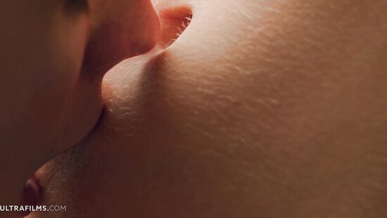 Among the morning pines