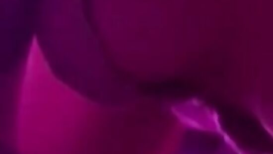 Обработка✓