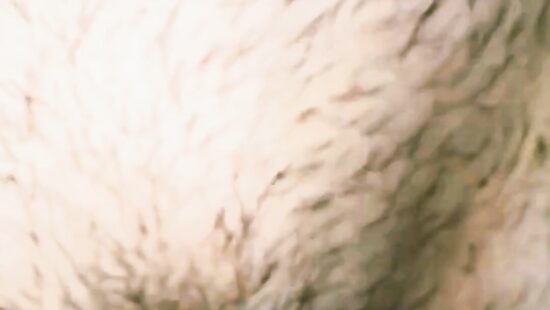 Моё новое™