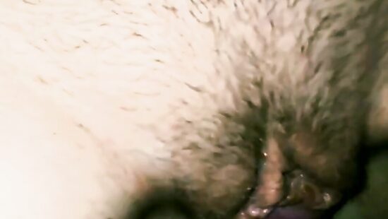 Моё новое™