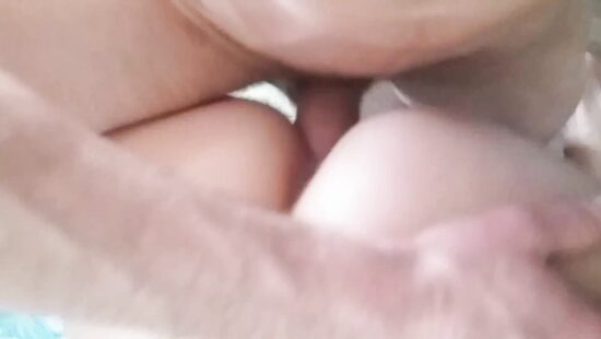 Света Проводница