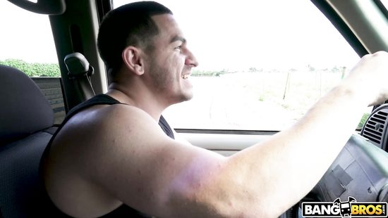 Busty brunette picked up and fucked