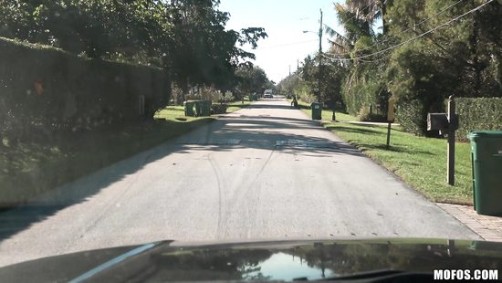 Back seat sex after she throats some