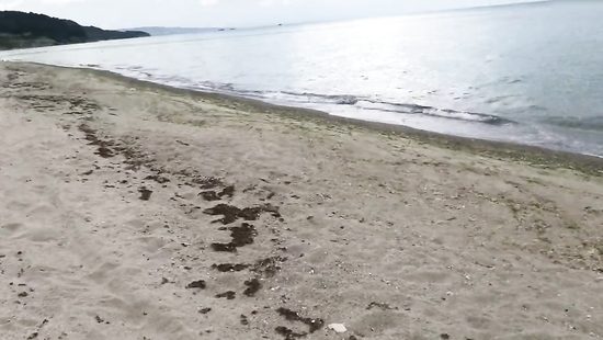 Top doll lets lover ass fuck her by the beach