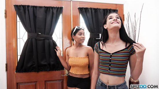 Smashing chicks share penis in home threesome