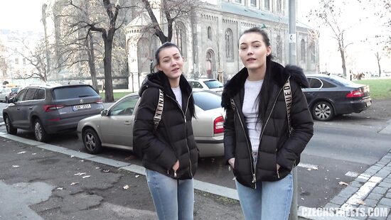 The horny twins got what they deserved