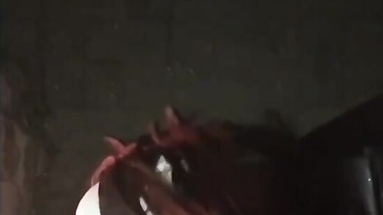 Чуток миньетика!)