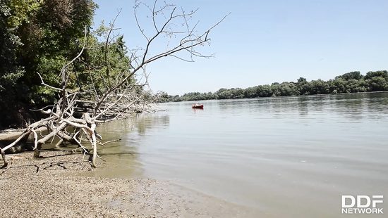 Outdoor sex for a teen couple in heats