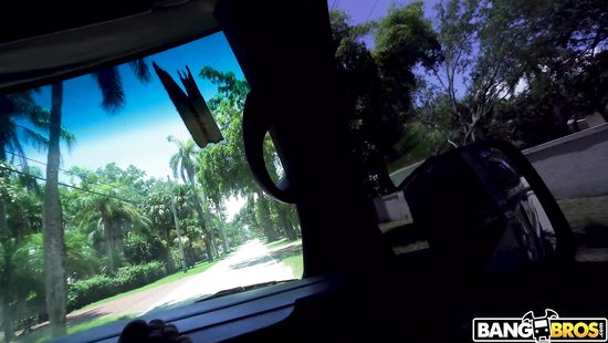 Picked-up bimbo gets finger fucked and screwed in a car