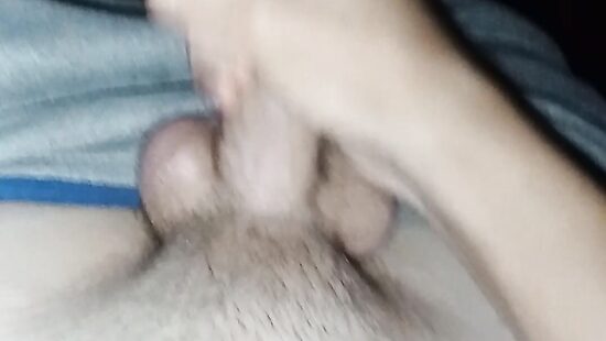 Мой любимый член