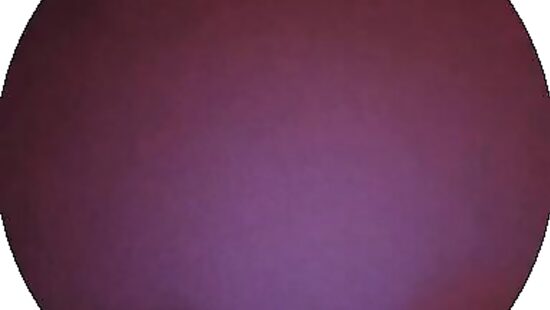 В задницу кому?