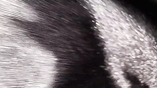 Кажется пора устроить хороший трах...)