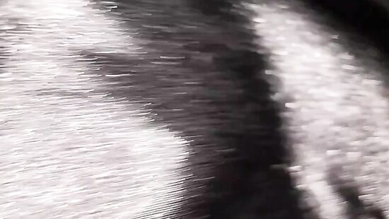 Кажется пора устроить хороший трах...)