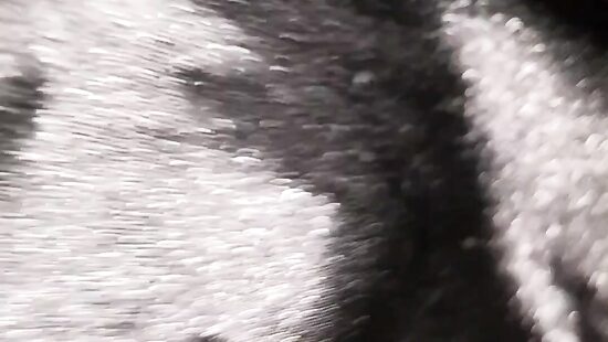 Кажется пора устроить хороший трах...)