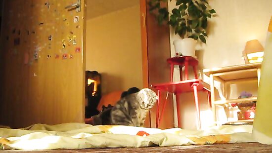 Люблю пососать и принять в рот