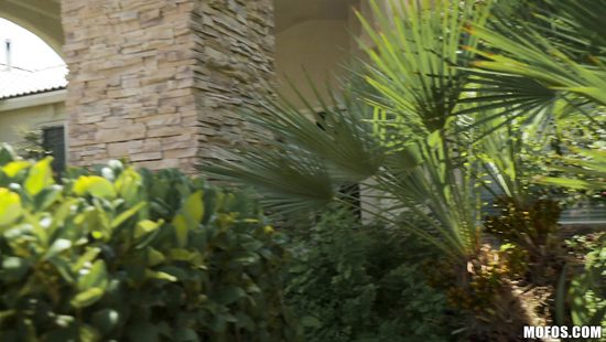 Ebony devours cock in excellent POV